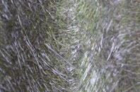 Cauldon fibreglass roof work